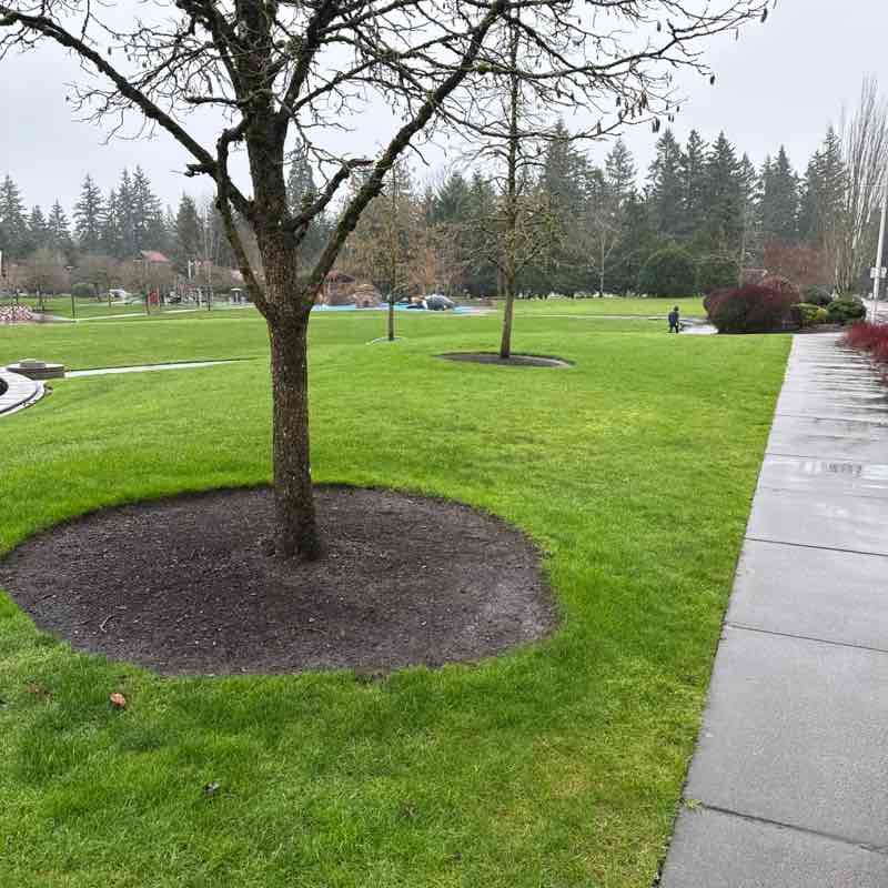 Santhosh Kumar post 1