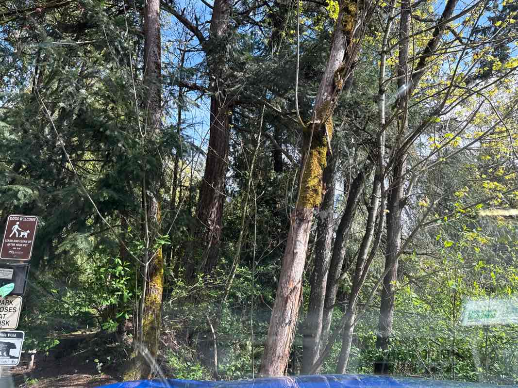 walking near me in Timberlake Park in spring