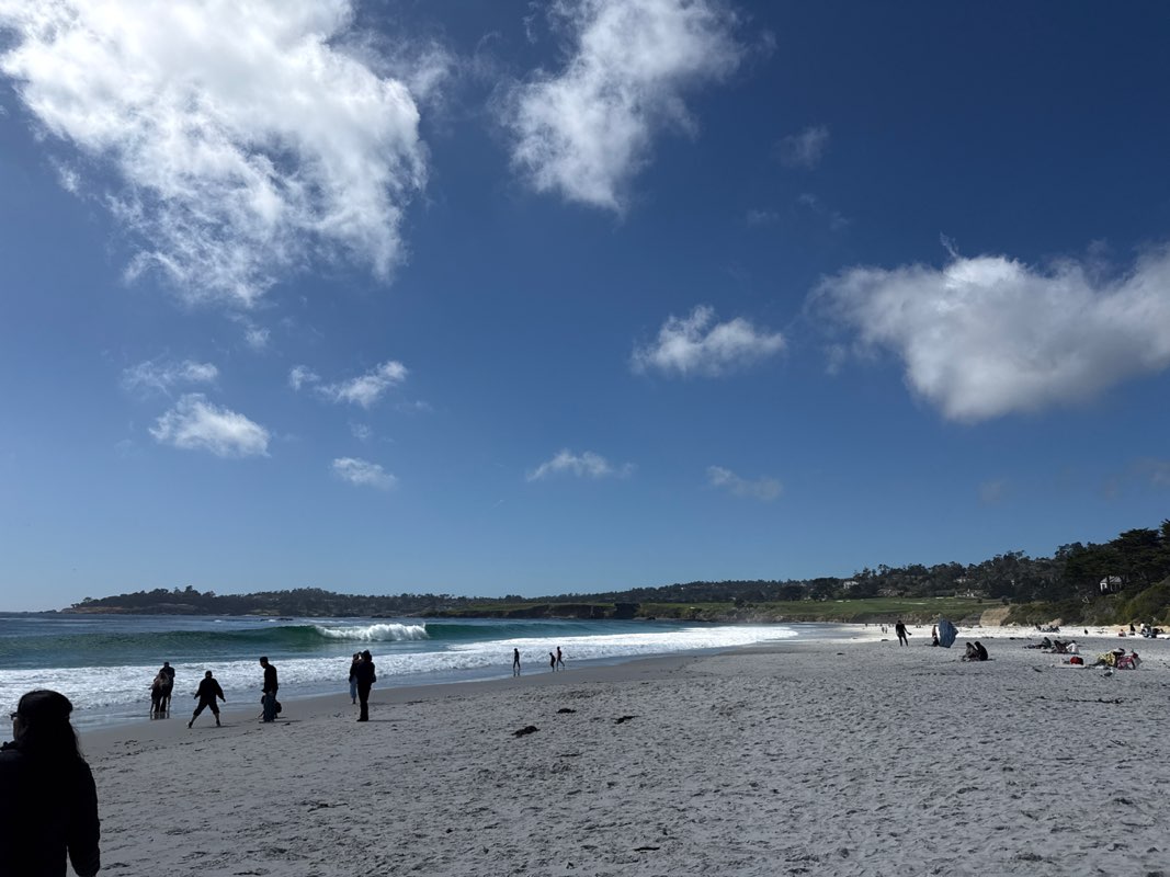 walking near me in Carmel Bay State Marine Conservation Area in spring