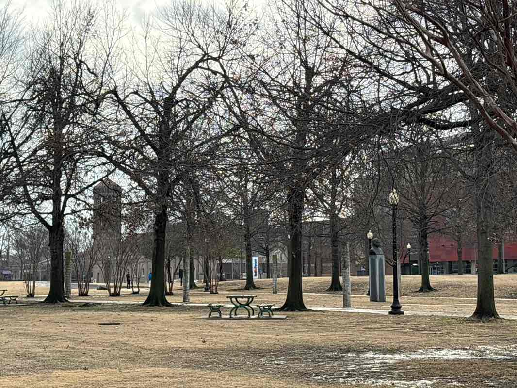 walking near me in Robert Church Park in winter