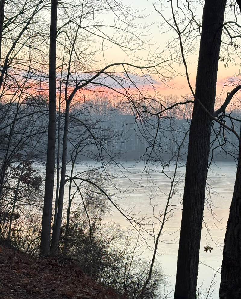 walking near me in Black Hill Regional Park in winter