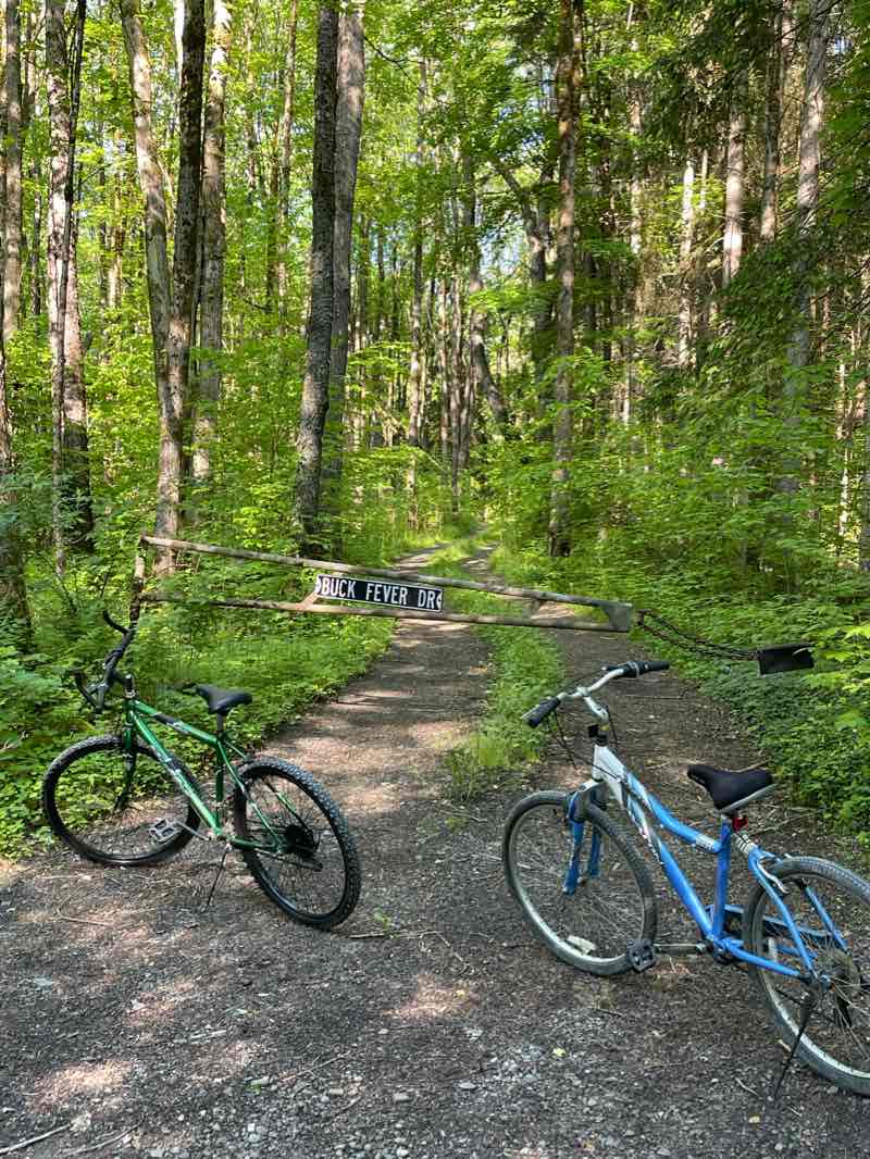 walking near me in McDonough State Forest in winter