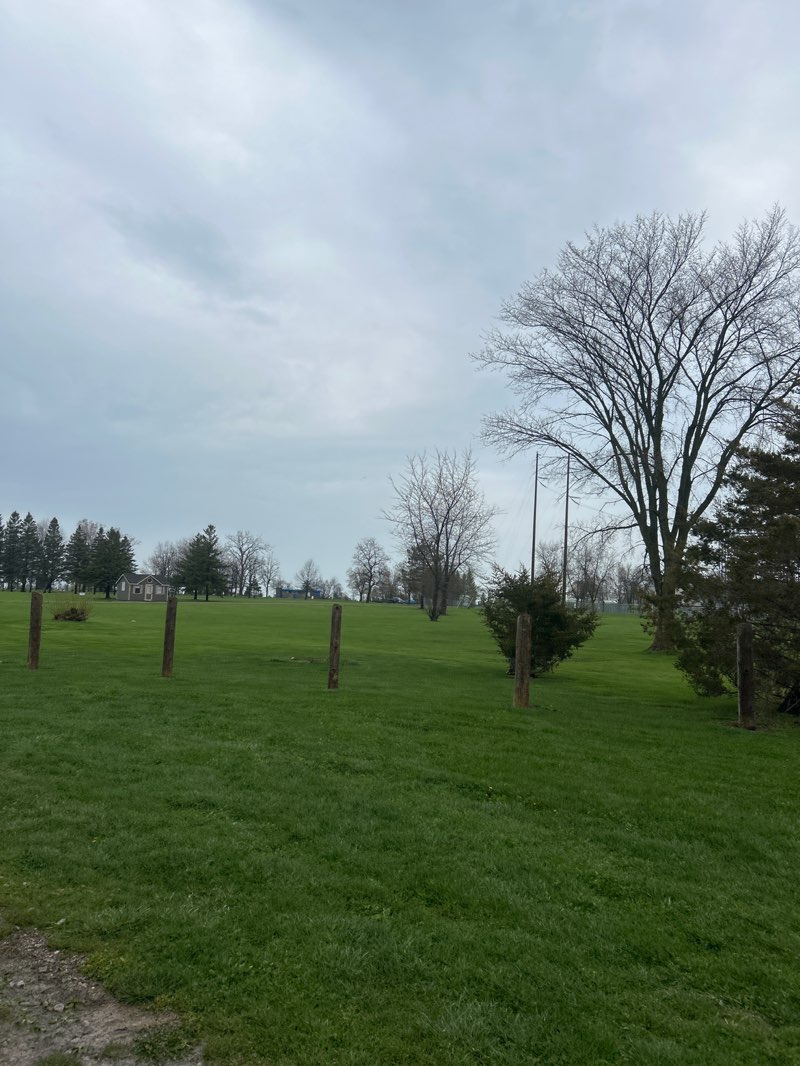 walking near me in Port Blake Conservation Area in spring