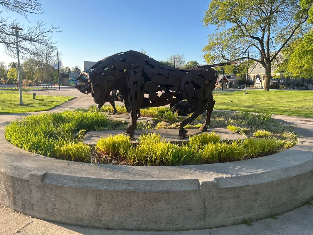 walking near me in Queens Park in spring