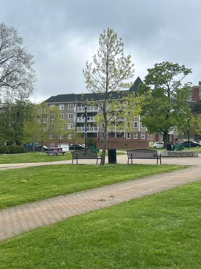 walking near me in Peace and Friendship Park in spring