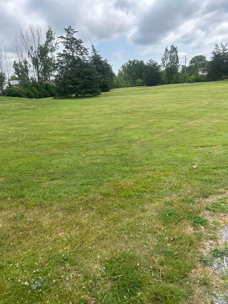 walking near me in Cascade Park in summer