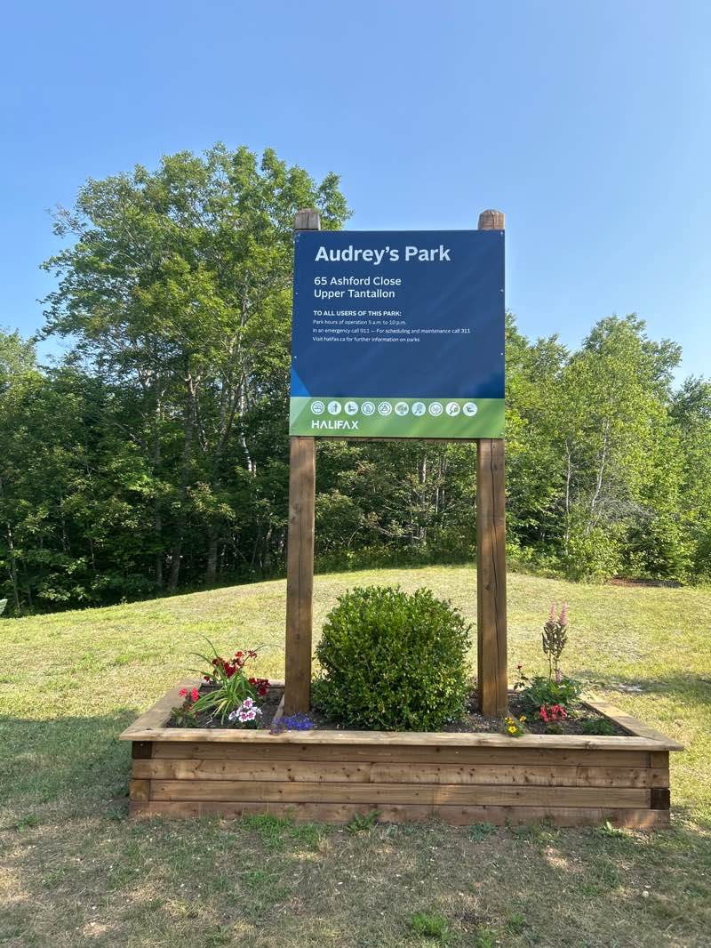 walking near me in Audrey's Park in autumn