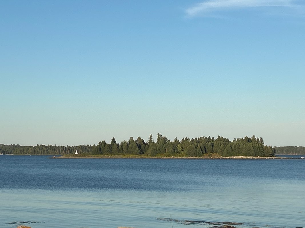 walking near me in Wild Rose Park in autumn