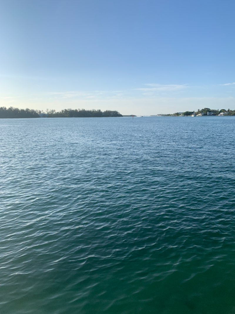 walking near me in Leffis Key Preserve in winter