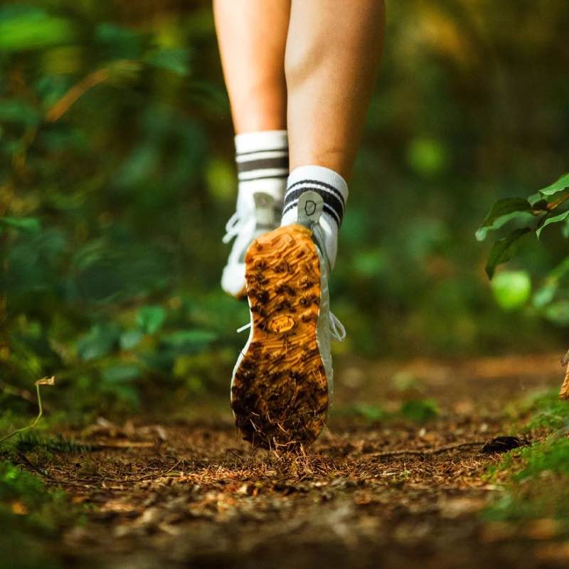 🐦🪻WALKING TOGETHER🪻🐦 تینافرهنگ post image