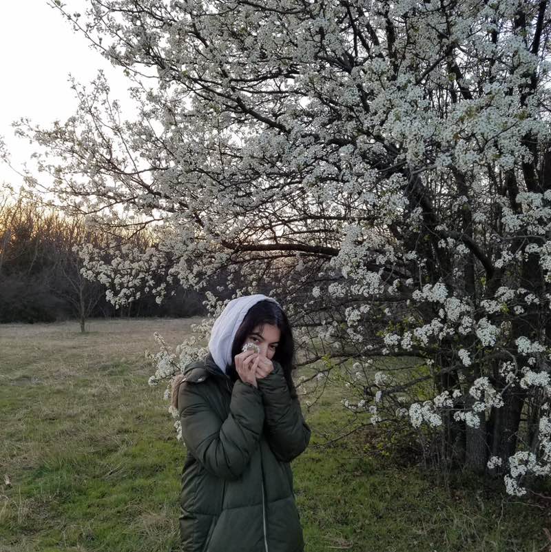 Mehrnaz