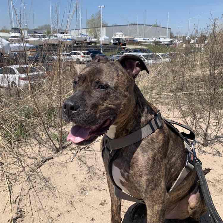 johnniejones357jj post 3