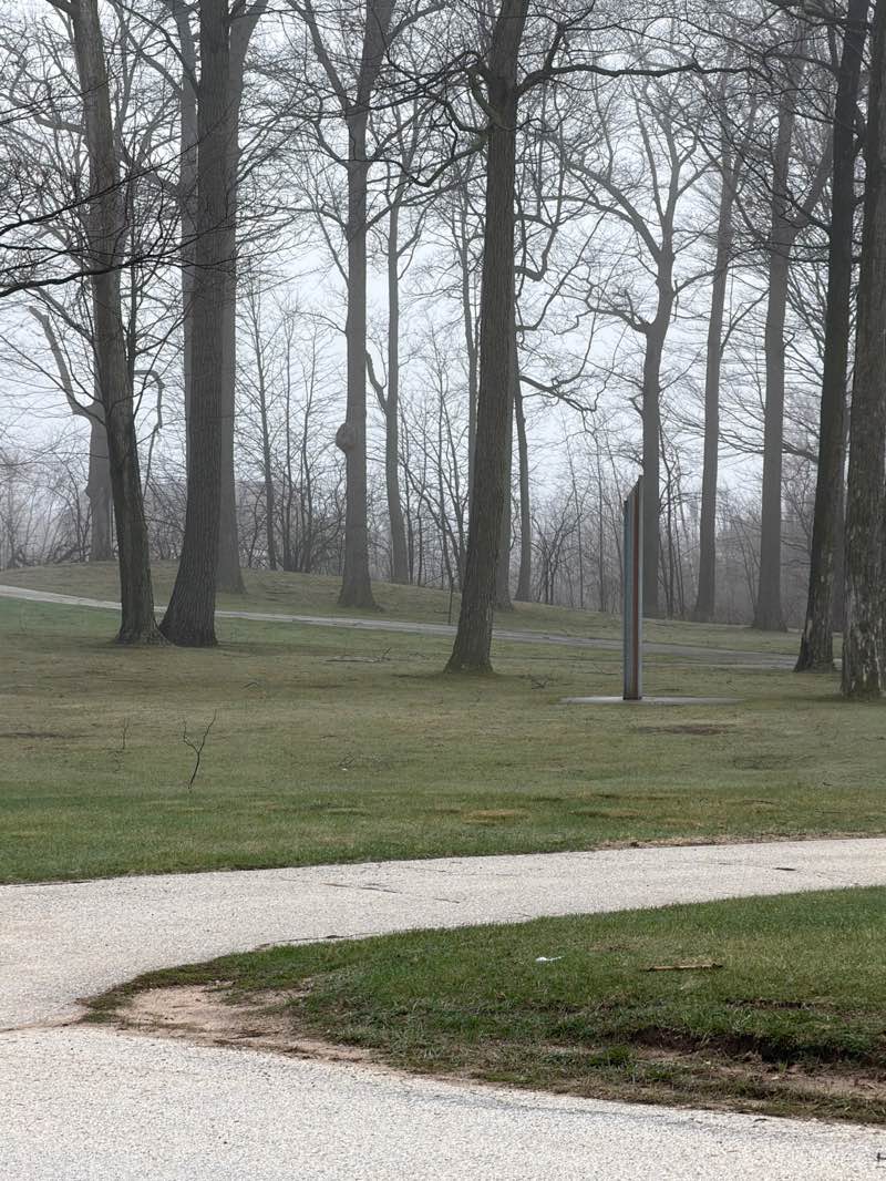 walking near me in Taylor Park in spring