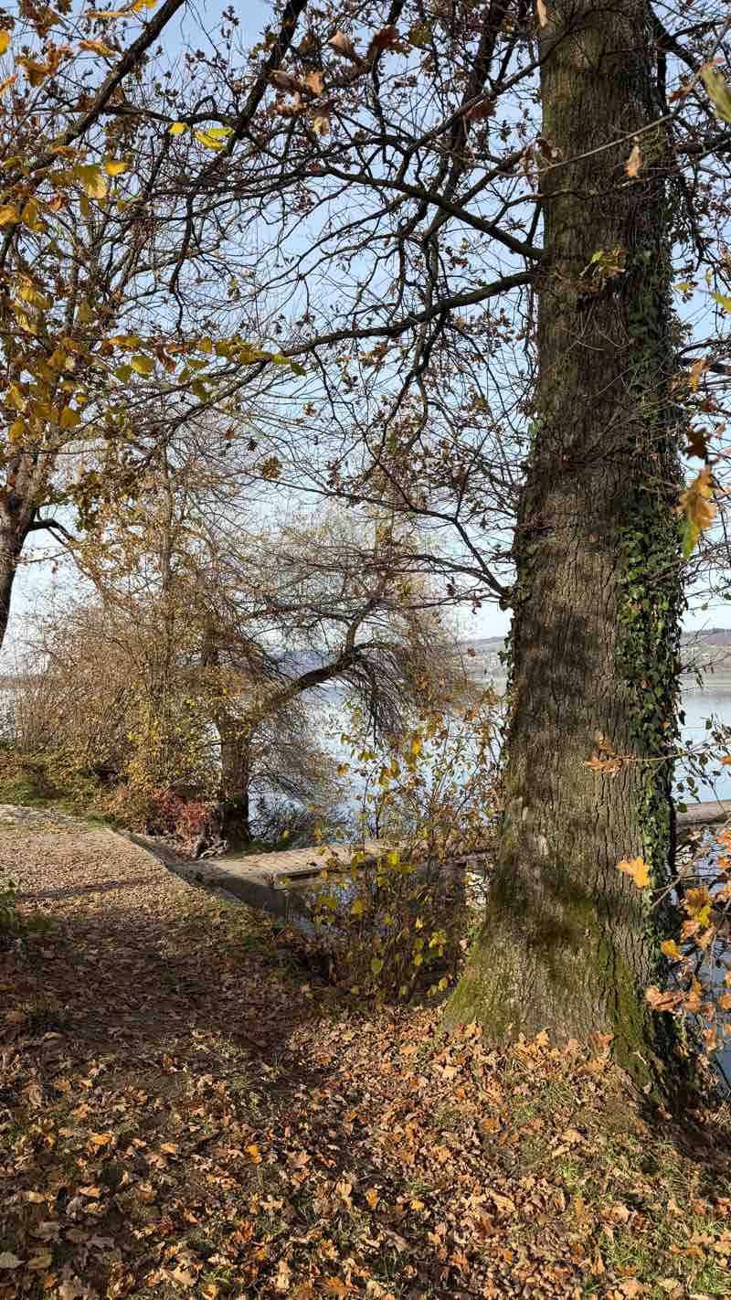 walking near me in Strandbad Sursee in autumn