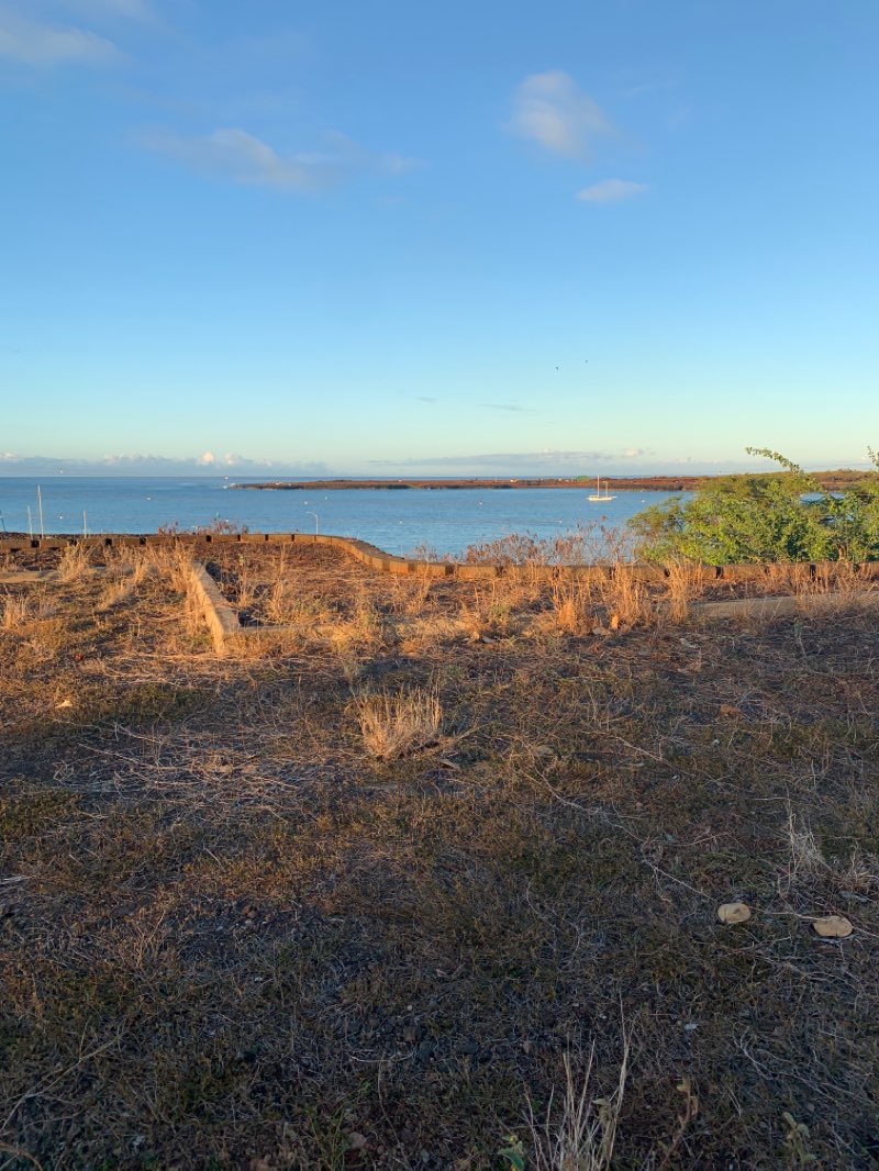 walking near me in Eleele Nani Park in winter