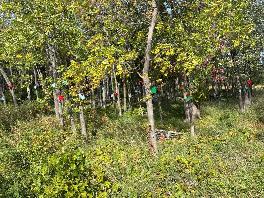 walking near me in Airport Park in autumn