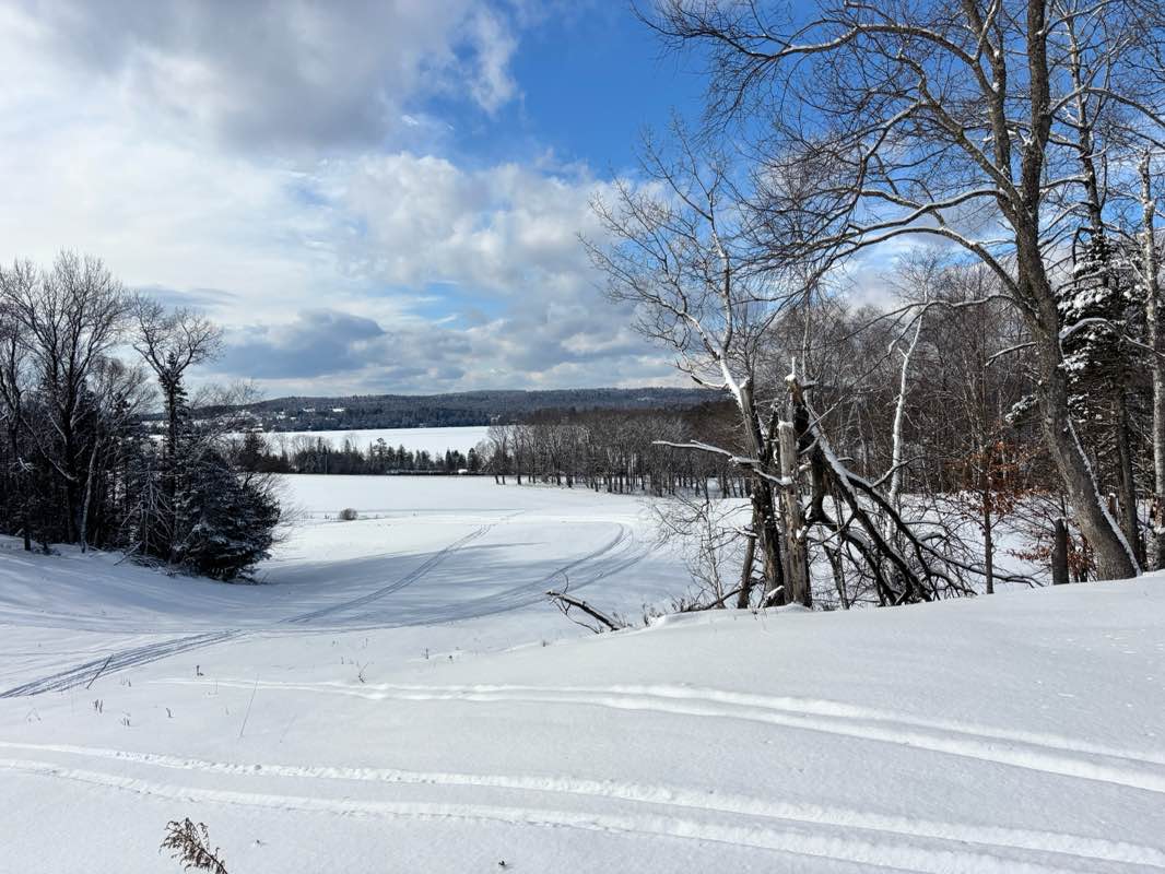 walking near me in Barr Hill Natural Area in winter