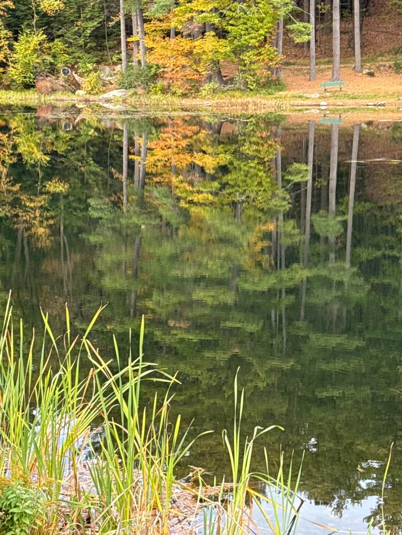walking near me in Robin Hood Park in autumn