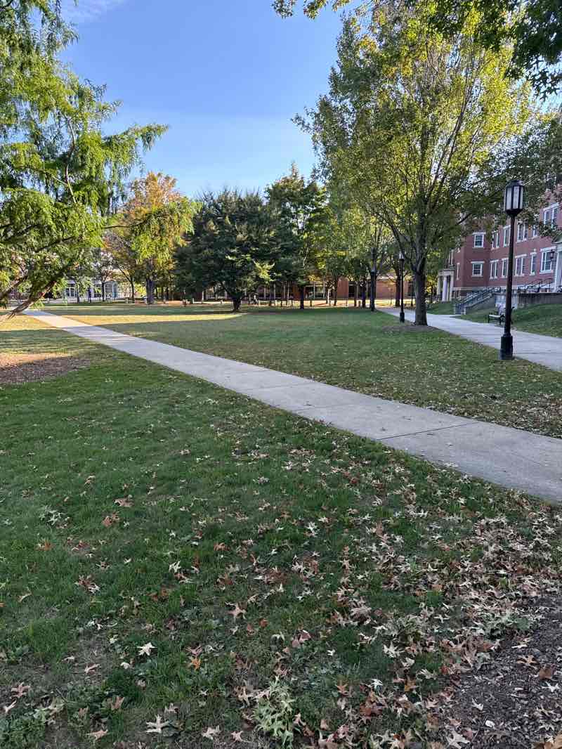 walking near me in Fiske Quad in autumn
