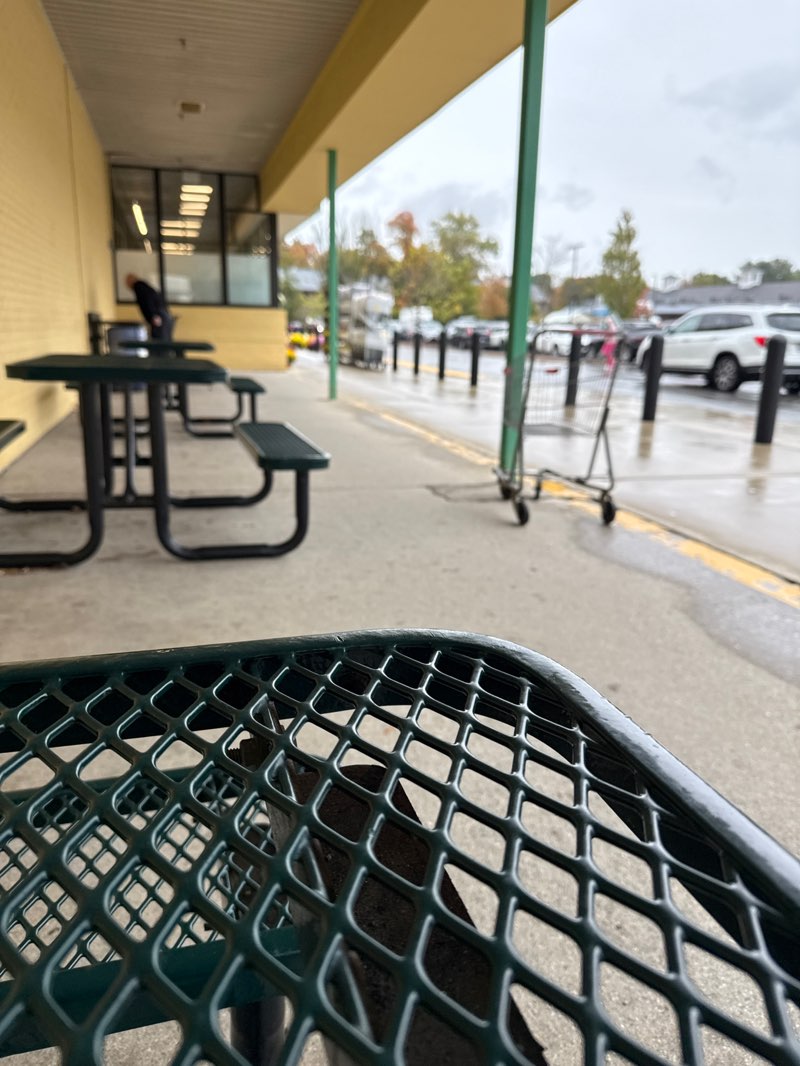 walking near me in Tophet Swamp Conservation Area in autumn