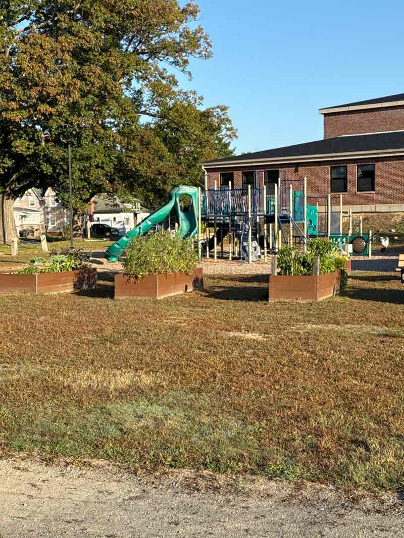 walking near me in Fuller Park in autumn