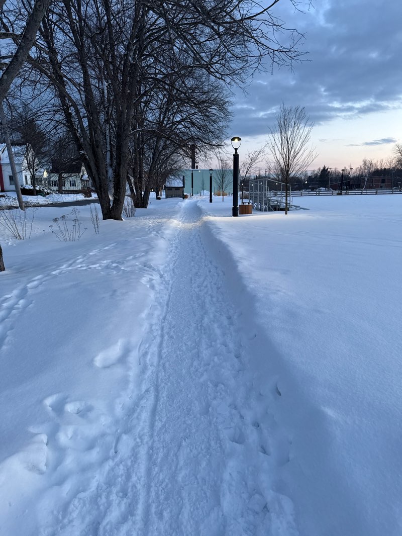 walking near me in Carpenter Park in winter