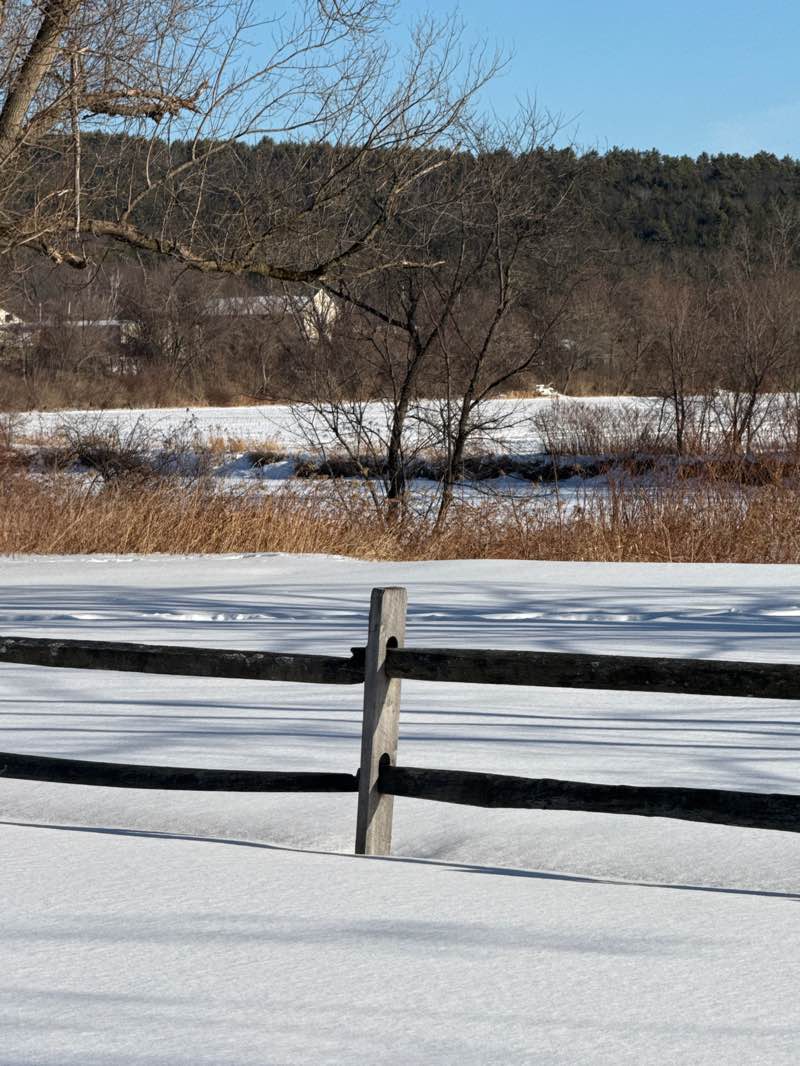 walking near me in Riverside Park in winter