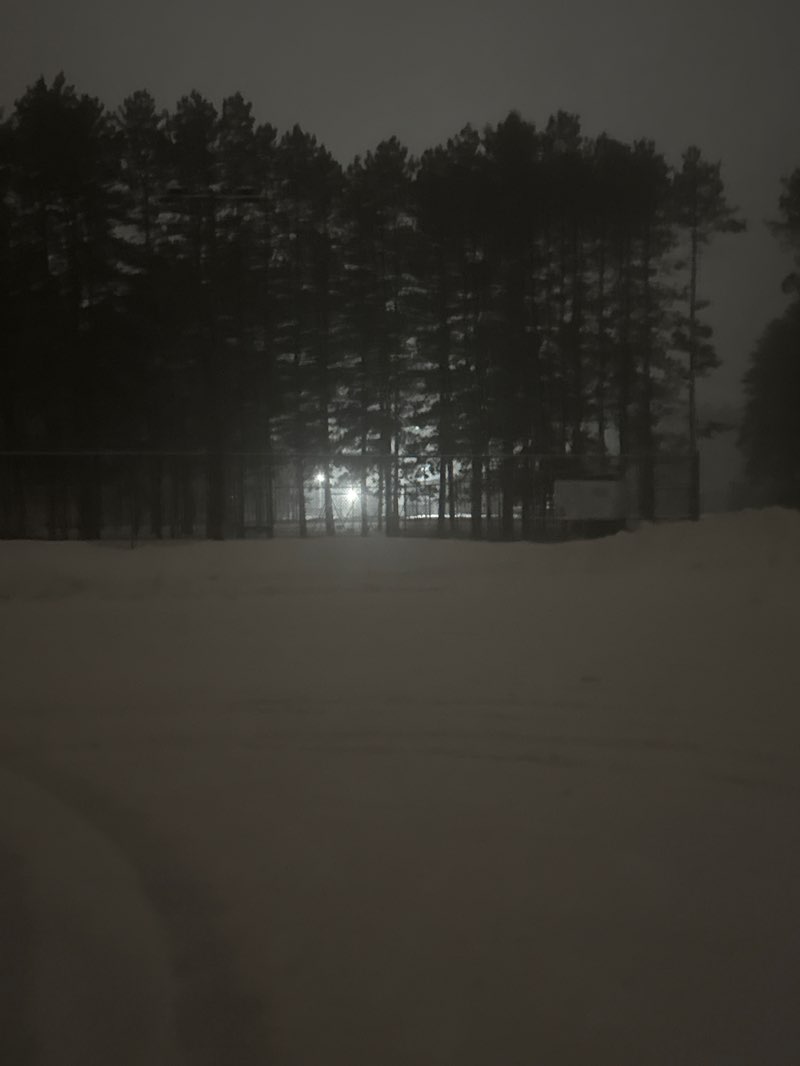 walking near me in Wheelock Park in winter