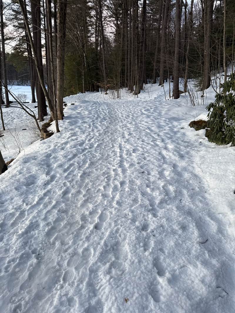 walking near me in Robin Hood Park in spring