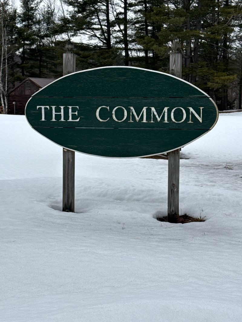 walking near me in The Commons Park in spring