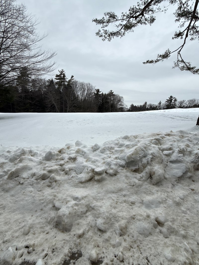 walking near me in Saint-Gaudens National Historical Park in spring