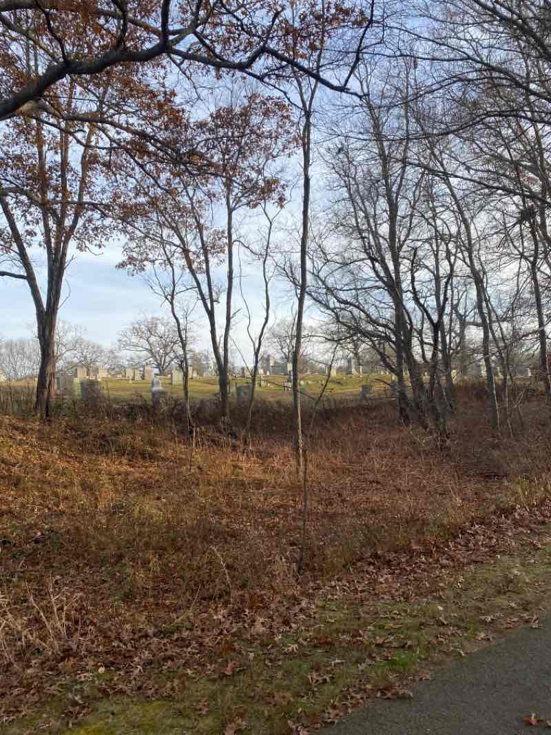 walking near me in Fagan Park in winter