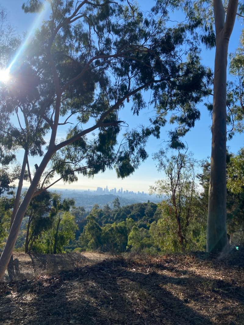 walking near me in Lake Hollywood Open Space in winter