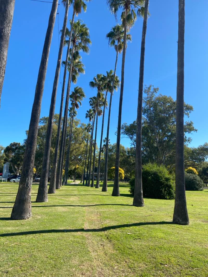 walking near me in Collins Park in winter