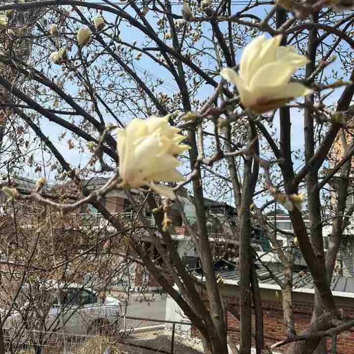 🇺🇸🇰🇷🏴󠁧󠁢󠁷󠁬󠁳󠁿Mattie Ro Goes 🏴󠁧󠁢󠁷󠁬󠁳󠁿🇰🇷🇺🇸 post 2