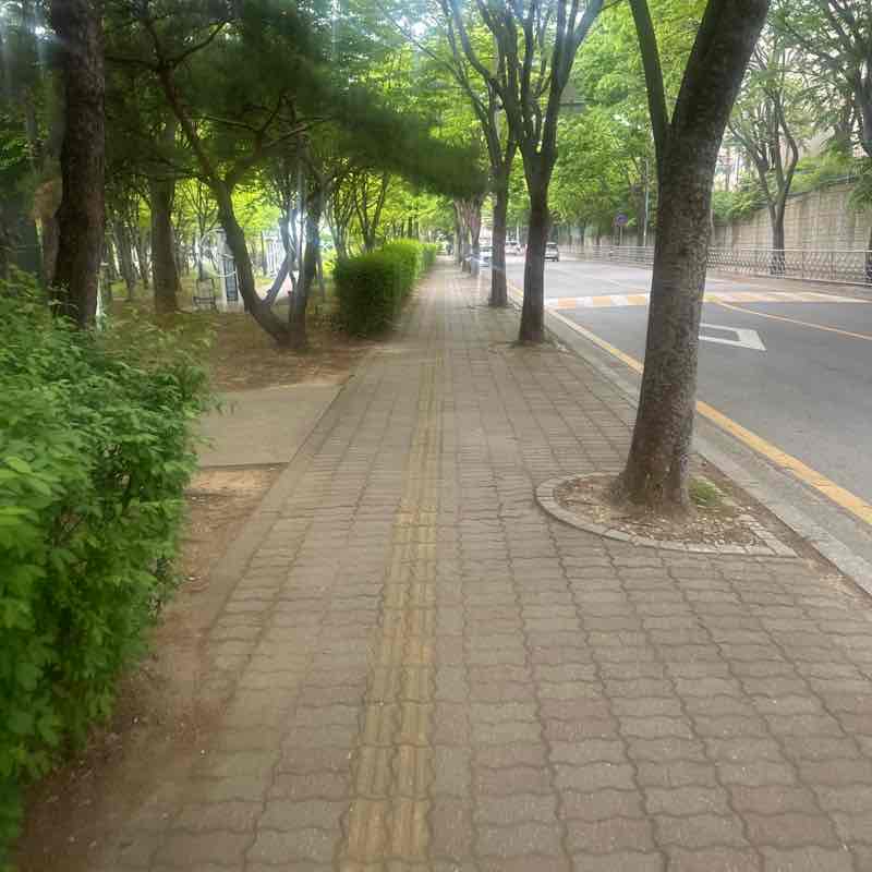 🇺🇸🇰🇷🏴󠁧󠁢󠁷󠁬󠁳󠁿Mattie Ro Goes 🏴󠁧󠁢󠁷󠁬󠁳󠁿🇰🇷🇺🇸 post 1