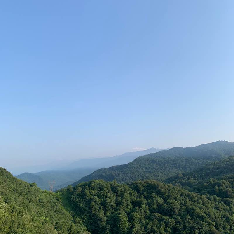 sahar.gholizadeh post 3