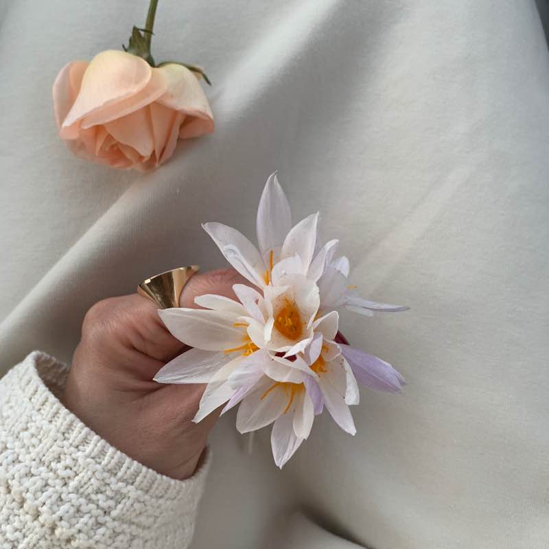 sahar.gholizadeh post 2