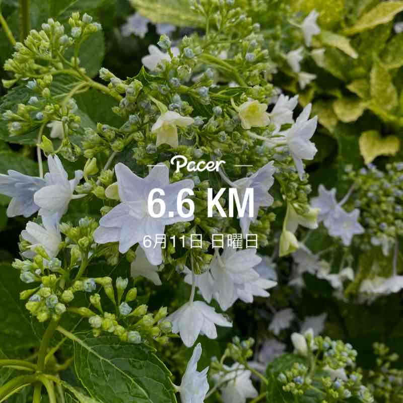 annko_runnini post 1