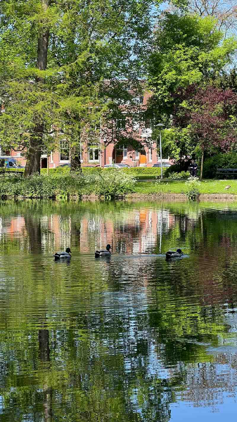 walking near me in Wilhelminapark in winter