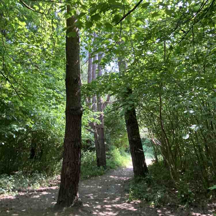 Bloquel Thierry post 3