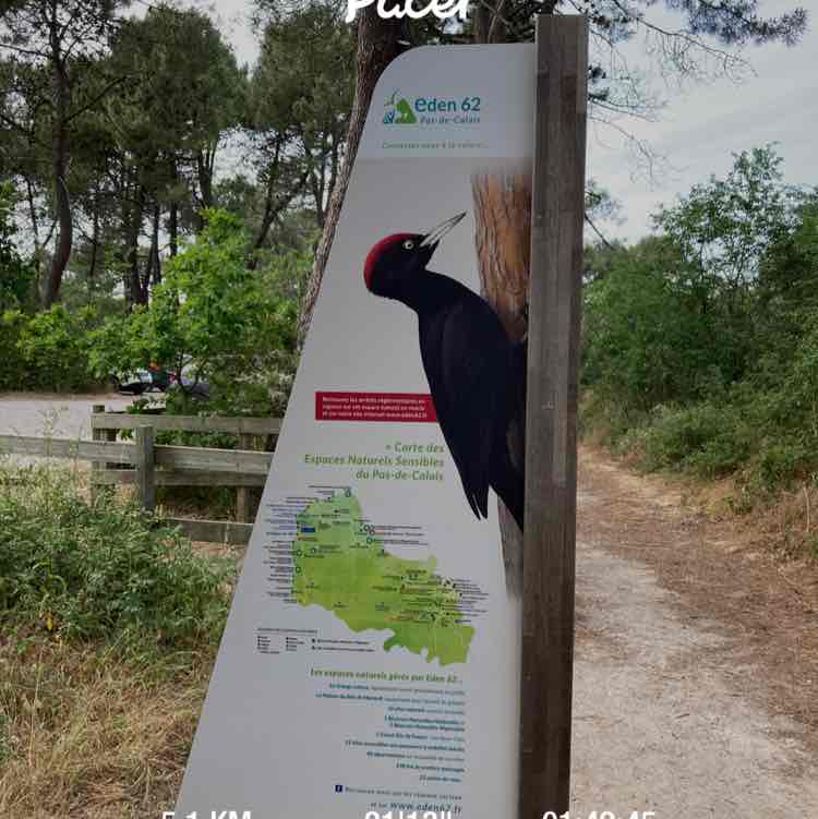 Bloquel Thierry post 1