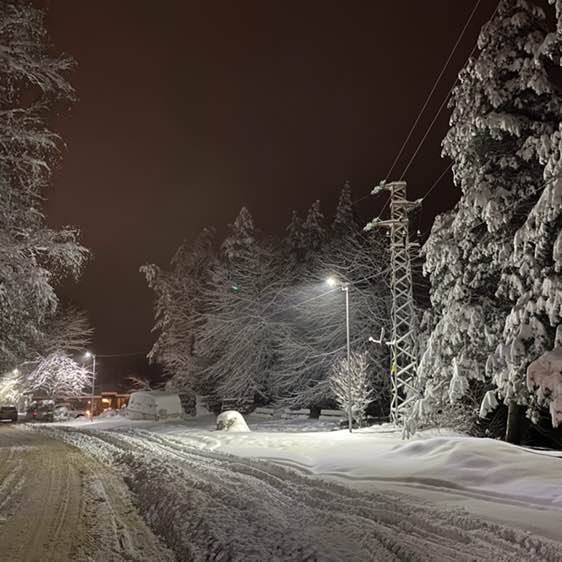 borislava.stoycheva post 1