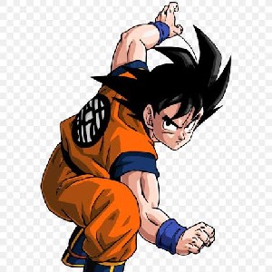 SON--GOKU profile