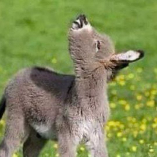 🐿❤️Em❤️🩺