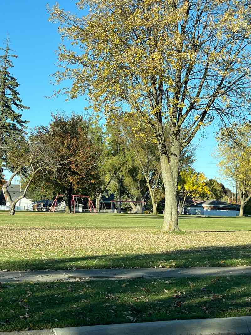 walking near me in Kiwanis Park in autumn