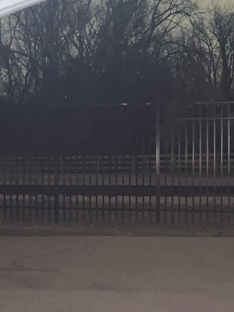 walking near me in Henry Ford Academy & Windmill Park in autumn