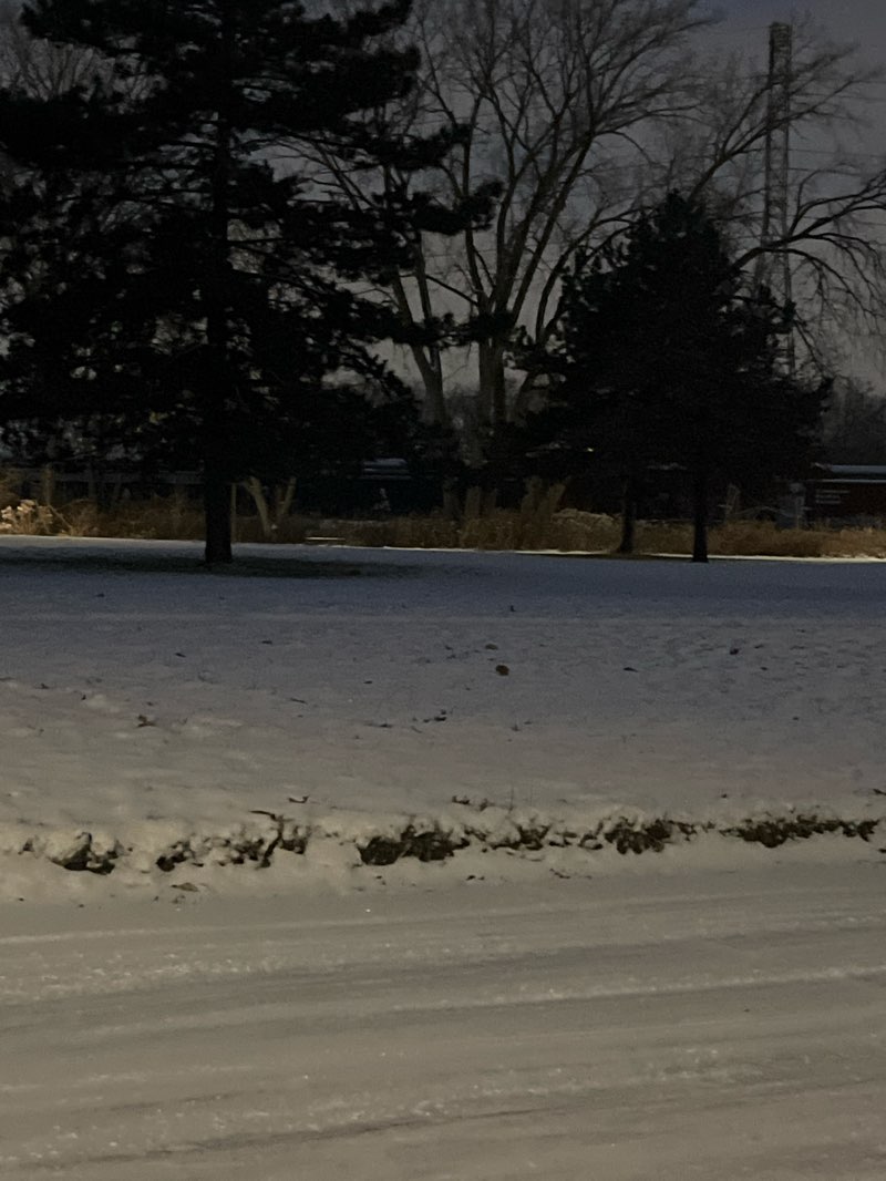 walking near me in Lankford Park in winter