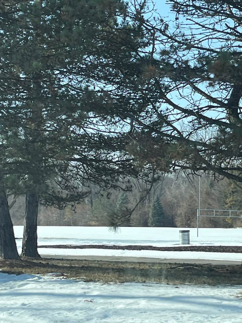 walking near me in Phoenix Park in winter