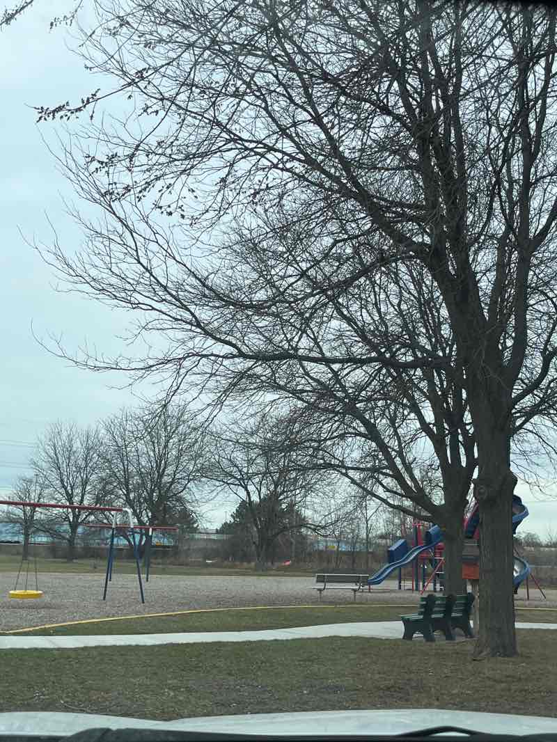 walking near me in Cunningham Park in spring